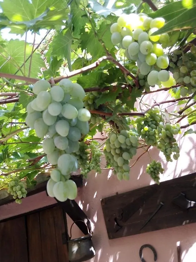 Belli Come Il Sole Serri