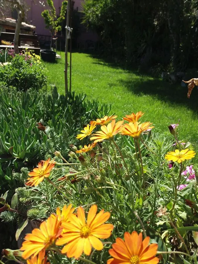 Bed & Breakfast Belli Come Il Sole Serri Italy