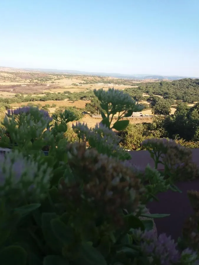 Belli Come Il Sole Serri