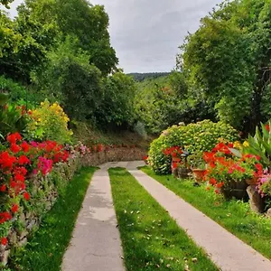Agrifoglio Con Giardino Bed & Breakfast